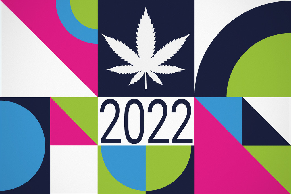 Relazioni Europee sulla Droga: Statistiche Uso di Cannabis 2022