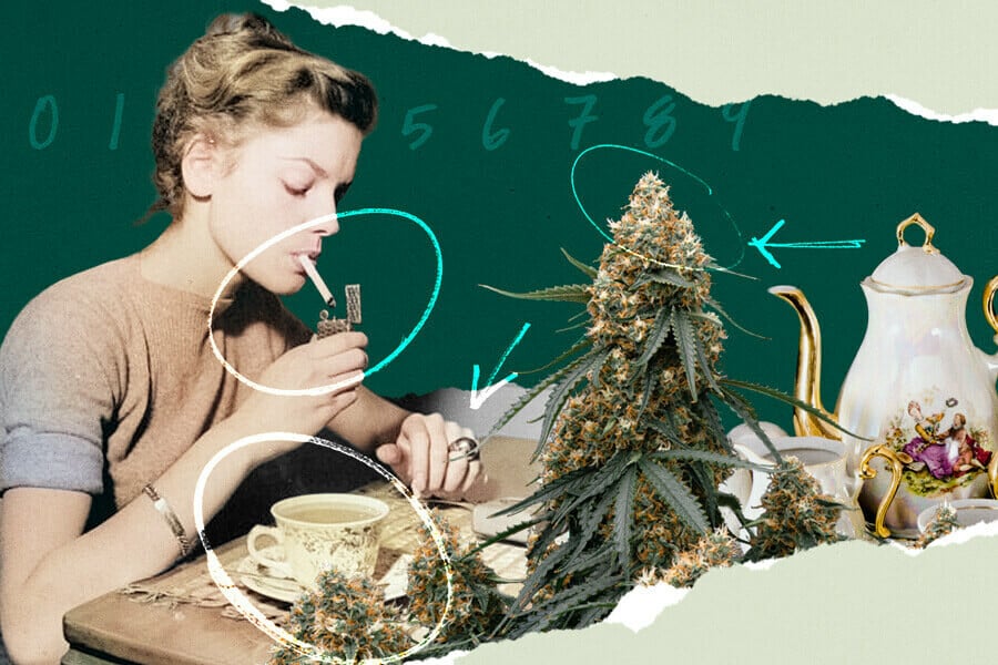 Come fare il tè di cannabis