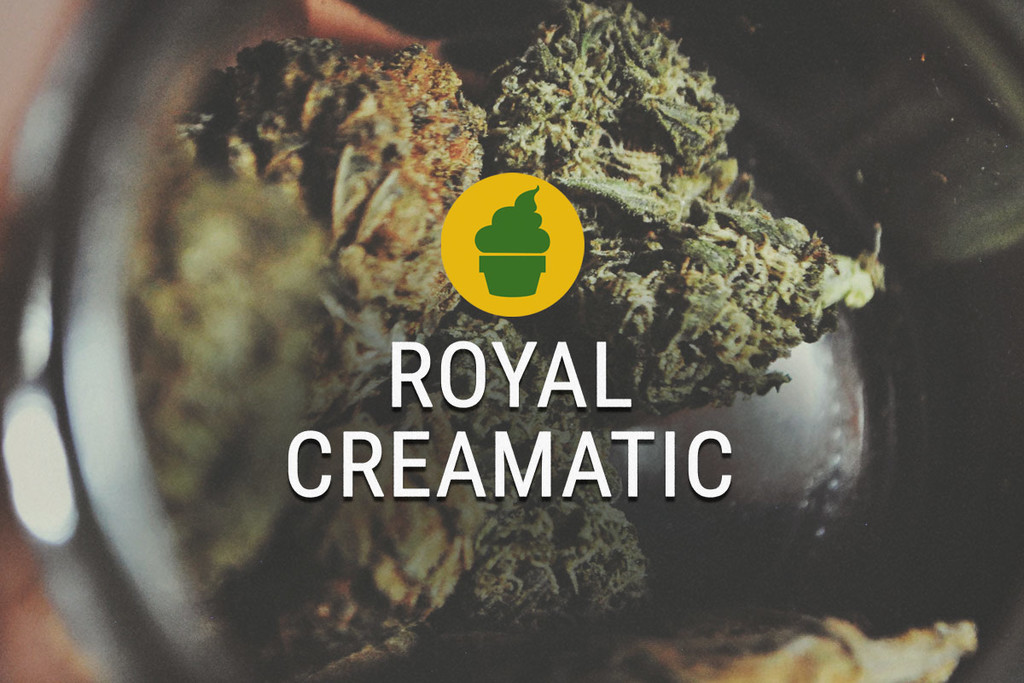 Royal Creamatic: Diario di Fumata