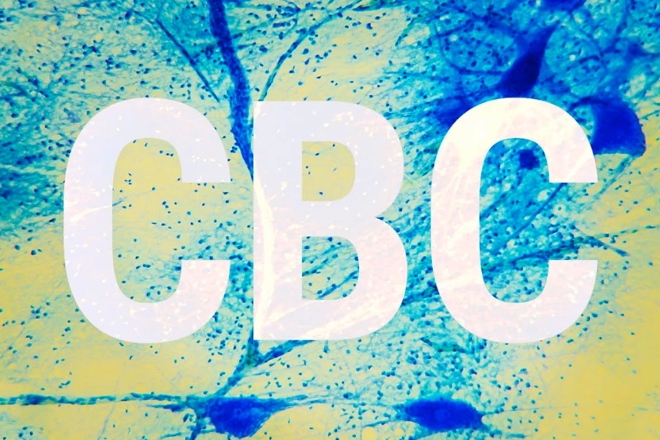 Cannabicromene (CBC): il Terzo Cannabinoide Più Comune