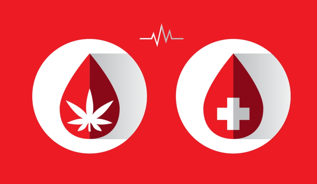 Posso Donare Sangue se Consumo Marijuana?
