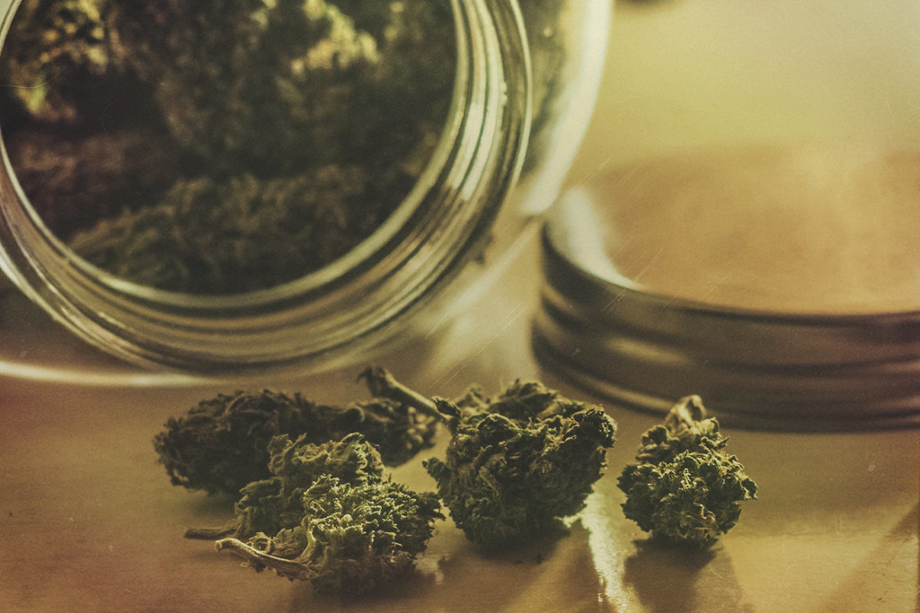 Come Conservare la Cannabis a Lungo Termine e Preservarne la Freschezza