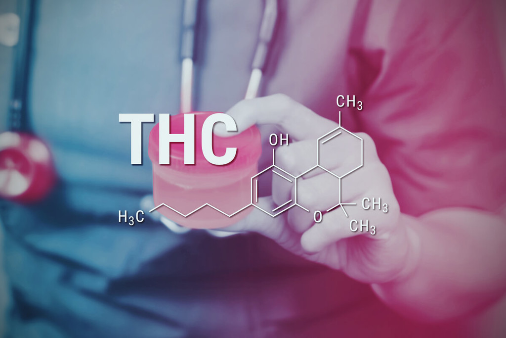 Come Espellere il THC dal Tuo Organismo: Una Guida Completa