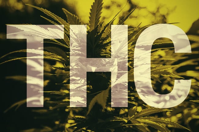 Cos’è il THC?