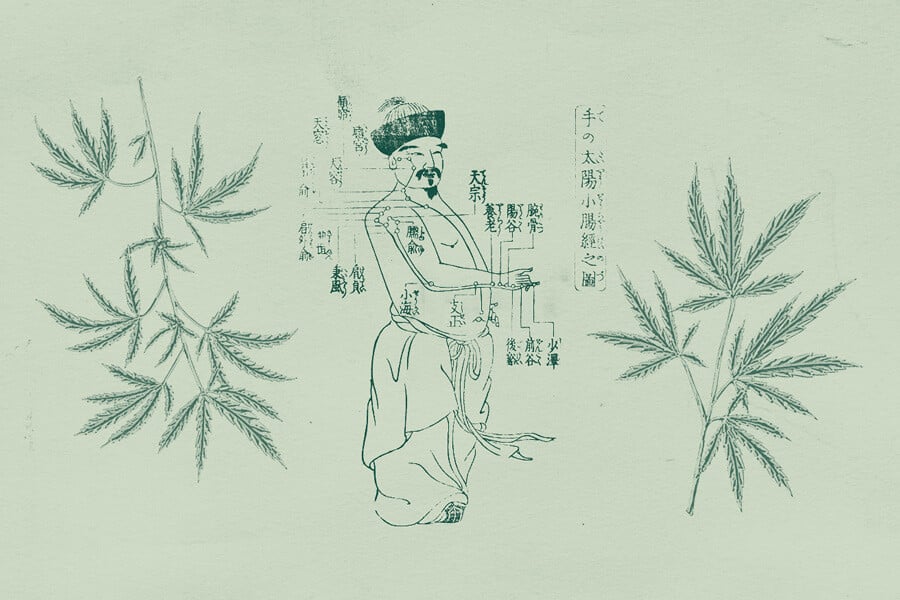 L'uso della cannabis nella medicina tradizionale cinese