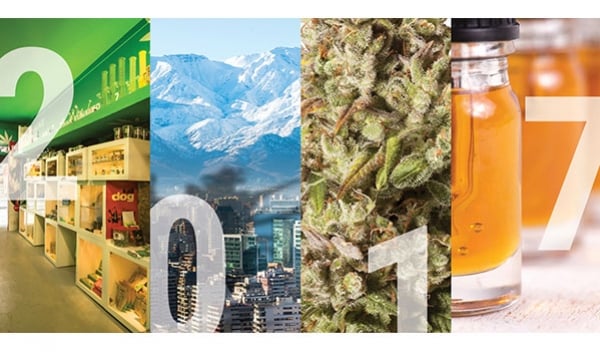 2017, Un Anno di Ganja