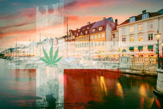 Danimarca Approva Progetto Pilota per la Cannabis Terapeutica