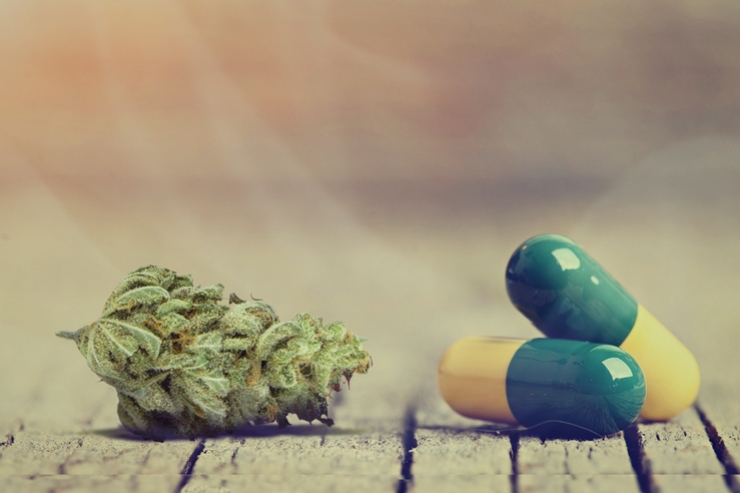 In Che Modo la Cannabis Interagisce con gli Antidepressivi
