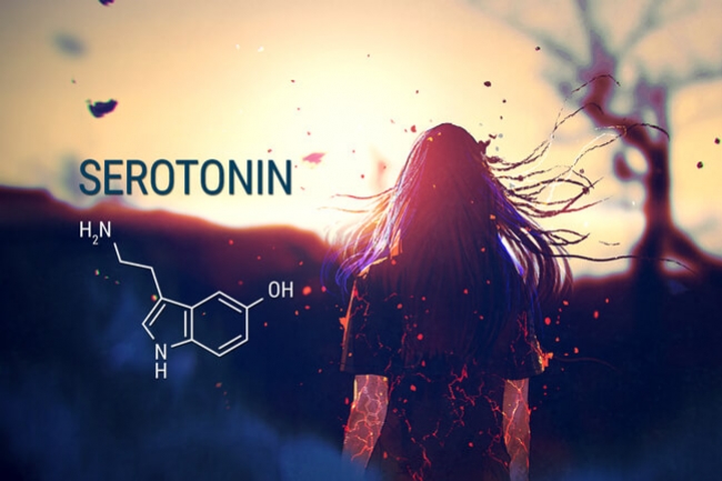 CBD, serotonina ed ansia