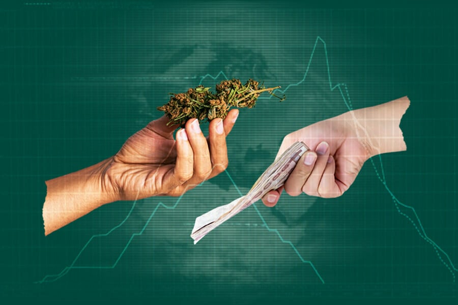 I Prezzi della Cannabis nel Mondo
