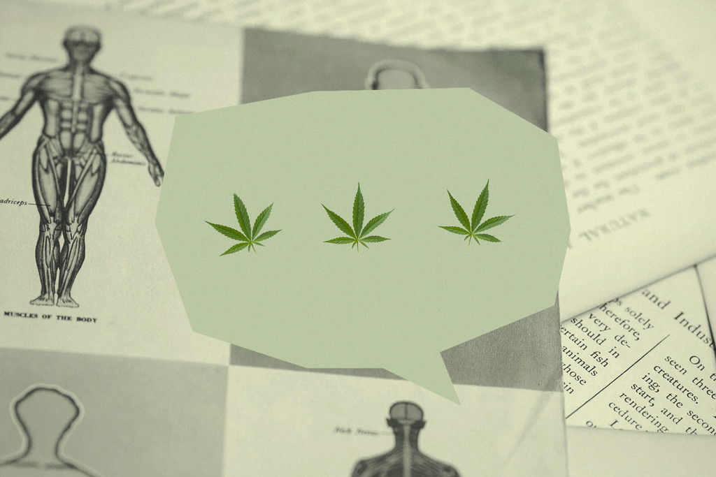 7 Consigli per Parlare di Cannabis e CBD con il Proprio Medico