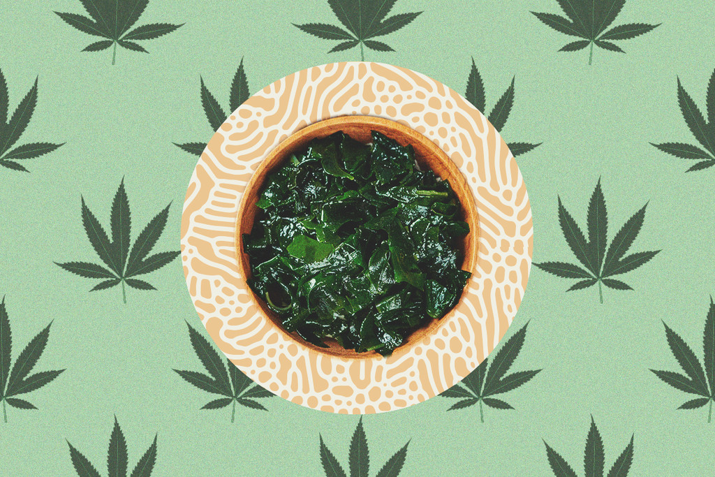 Perché le Alghe Sono un Super-Concime per le Piante di Cannabis