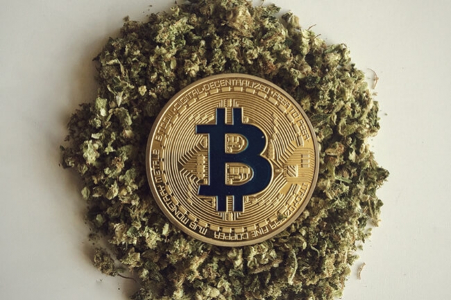 L'importanza della criptovaluta per l'industria della cannabis