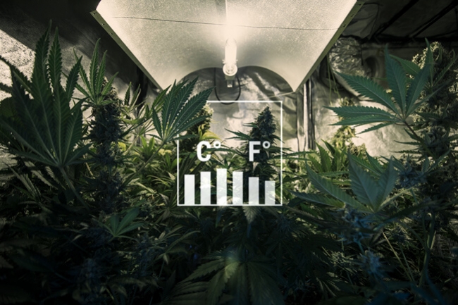 Come mantenere fresca la grow room in estate