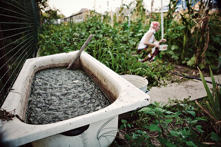 Come Usare il Tè di Compost per Nutrire le Piante di Cannabis