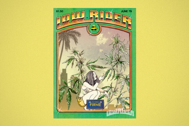 Lowryder: La Prima ed Autentica Varietà di Ganja Autofiorente