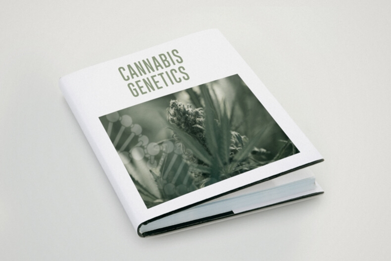 Terminologia genetica usata per la cannabis