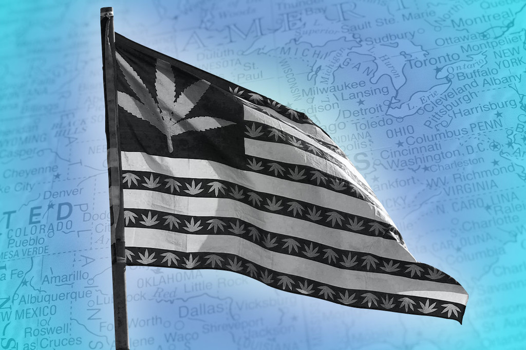 Dove è legale la cannabis negli Stati Uniti? (Aggiornamento 2023)