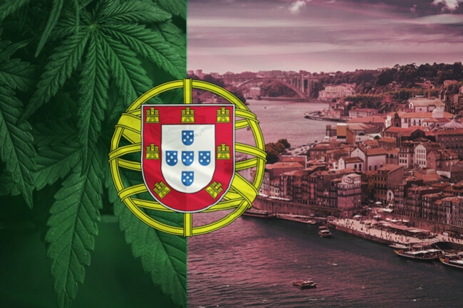 Il Portogallo Fa un Passo Decisivo Verso i Farmaci alla Cannabis