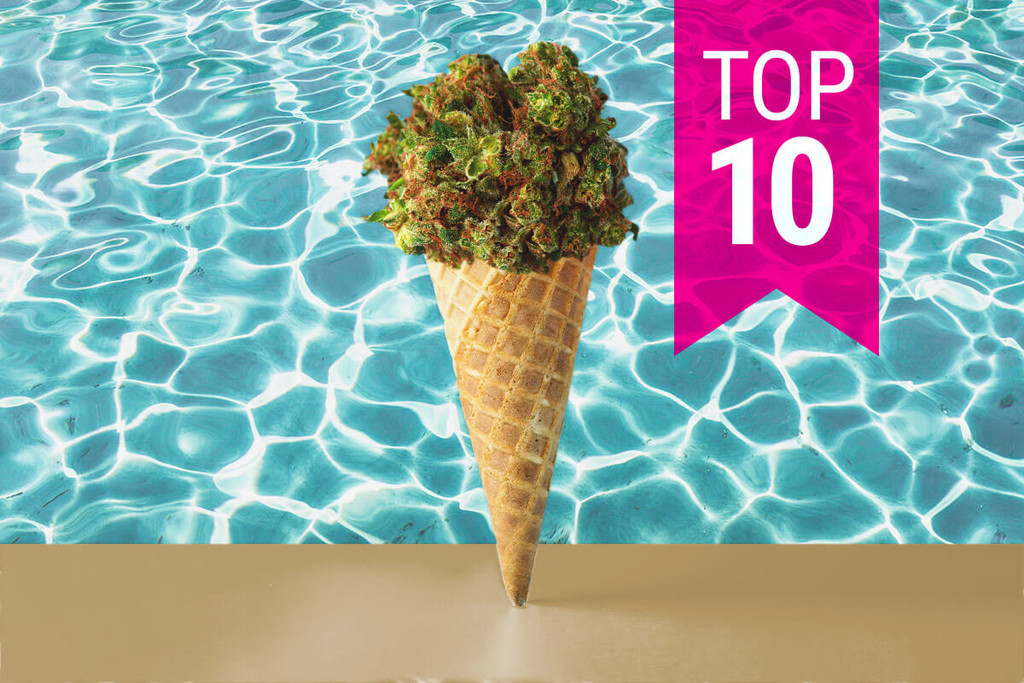 Le 10 migliori varietà di cannabis per sballarti questa estate