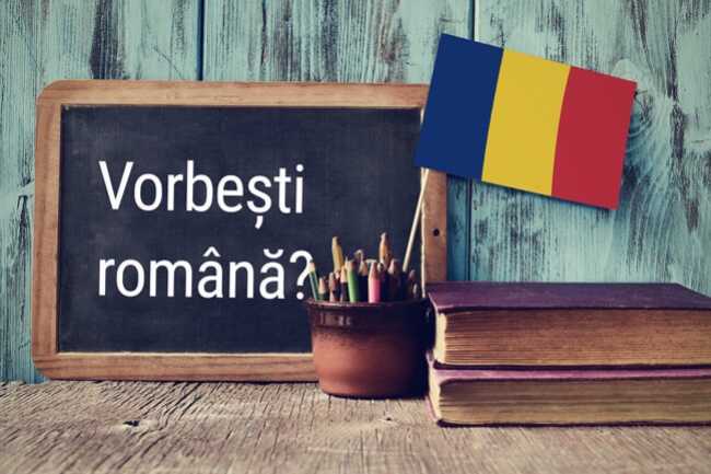 Stiamo Cercando Traduttori ed Editori Rumeni!