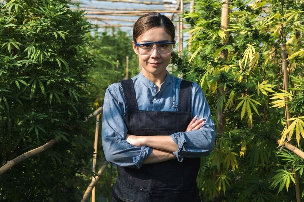 8 delle donne più influenti nel settore della cannabis