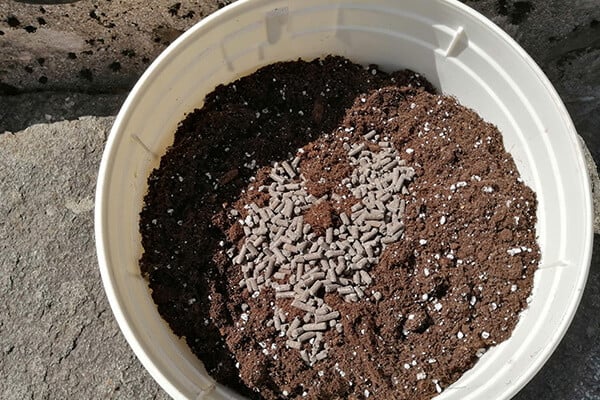 Easy Boost Nutrizione Biologica 