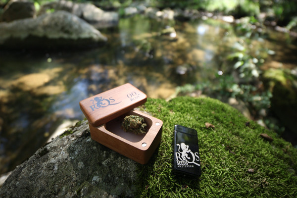 Accendino al plasma RQS