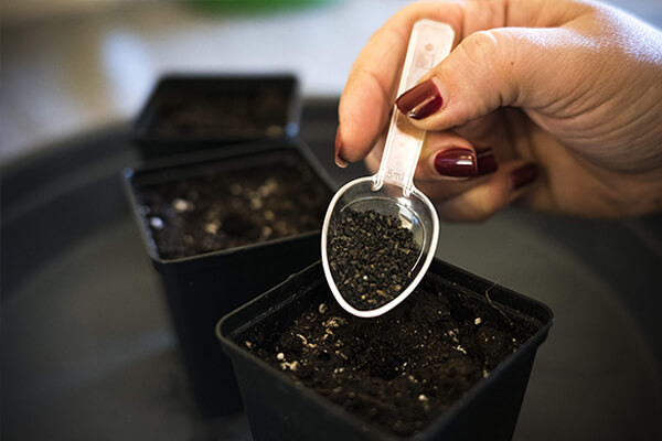 Easy Roots - Mix di Micorrize