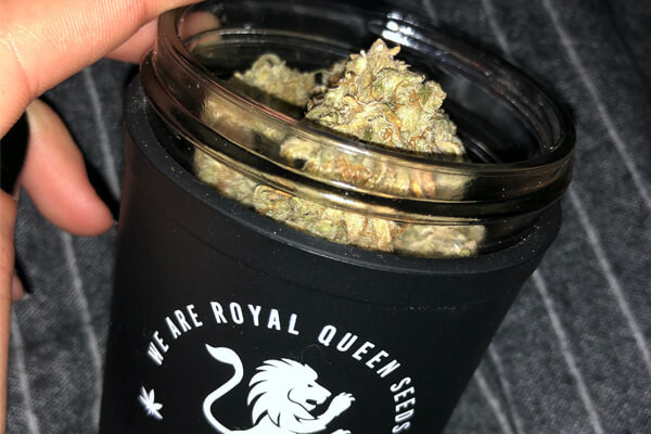 Giara Re:stash di RQS Giara Re:stash di RQS