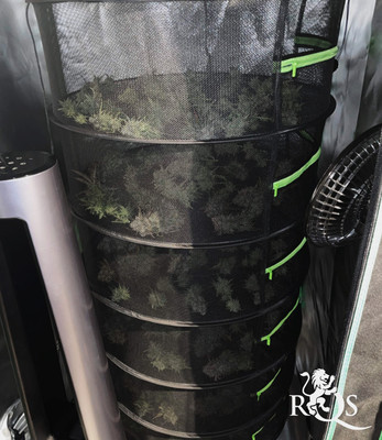 Rete Essiccatrice per Erbe 